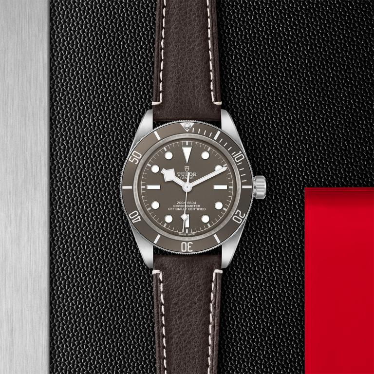 TUDOR Black Bay 58 925 slide 1
