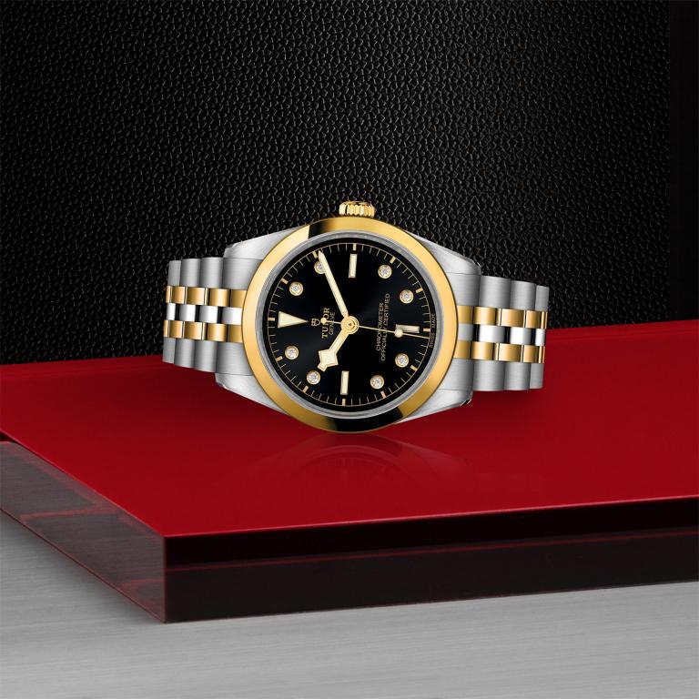 TUDOR Black Bay 36 S&G slide 1