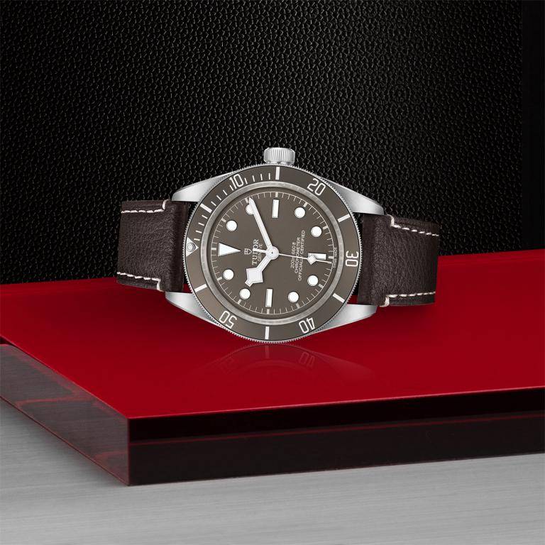 TUDOR Black Bay 58 925 slide 1