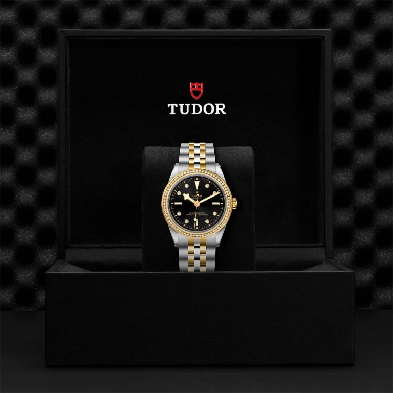 TUDOR Black Bay 39 S&G slide 1