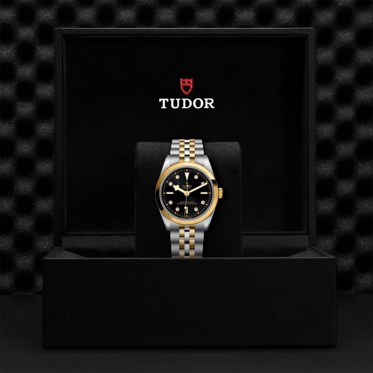 TUDOR Black Bay 36 S&G slide 1