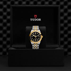 TUDOR Black Bay 39 S&G thumb 1