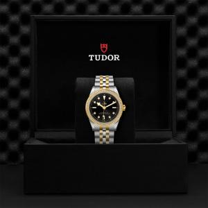 TUDOR Black Bay 39 S&G thumb 1
