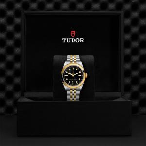 TUDOR Black Bay 36 S&G thumb 1